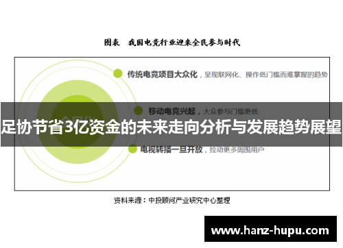 足协节省3亿资金的未来走向分析与发展趋势展望